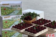 梦见官材高速赋能产业升级：一条“杨梅路”的致富密码